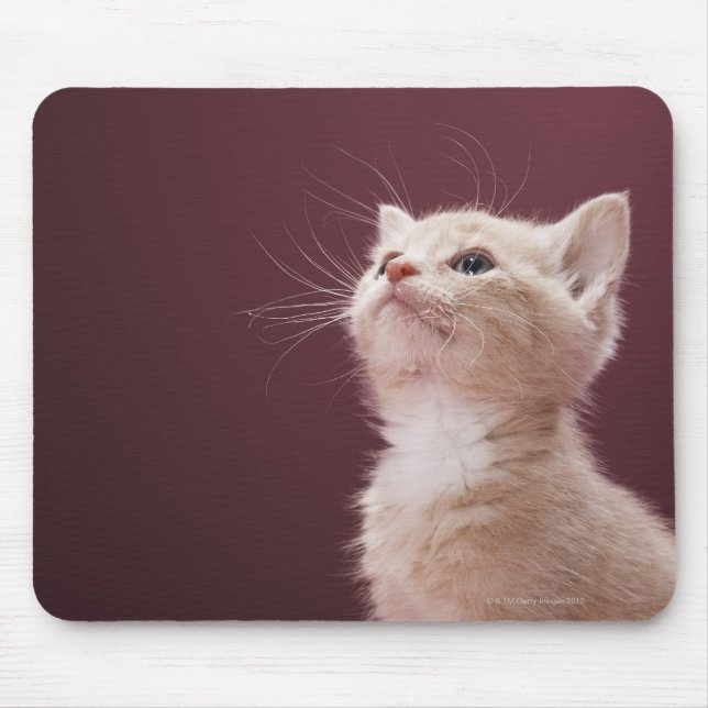 Kitten mit Whiskers Mousepad (Vorne)