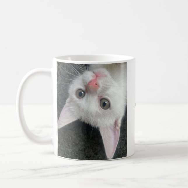 Kitten Mug, Funny Mug Kaffeetasse (Links)