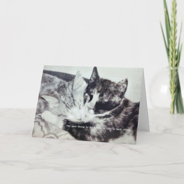 KITTEN NICKERCHEN Grußkarte Dankeskarte (Vorderseite)