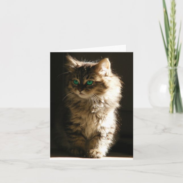 Kitten NoteCard Karte (Vorderseite)