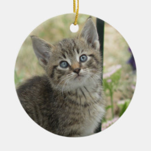 Kitten Ornament