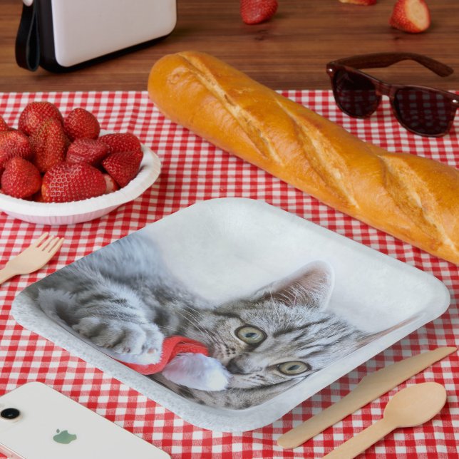 Kitten Pappteller (Picknick)