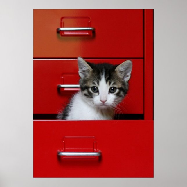 Kitten Peeking Poster (Vorne)