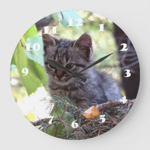Kitten Photo Baby Cat Wall Clock Große Wanduhr