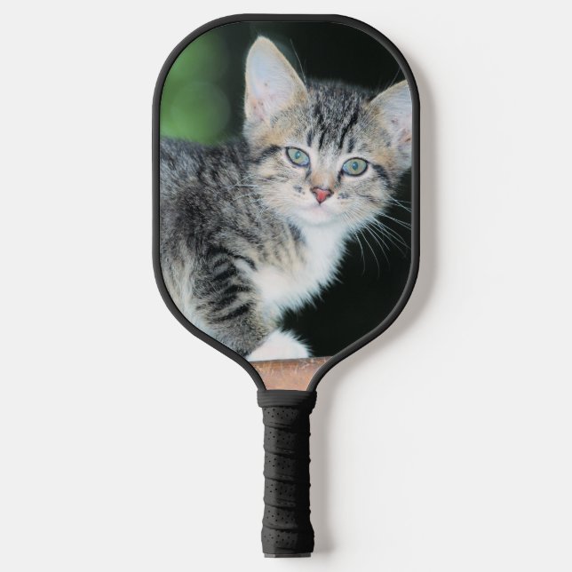 Kitten Pickleball Schläger (Vorderseite)