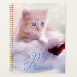 Kitten Planer
