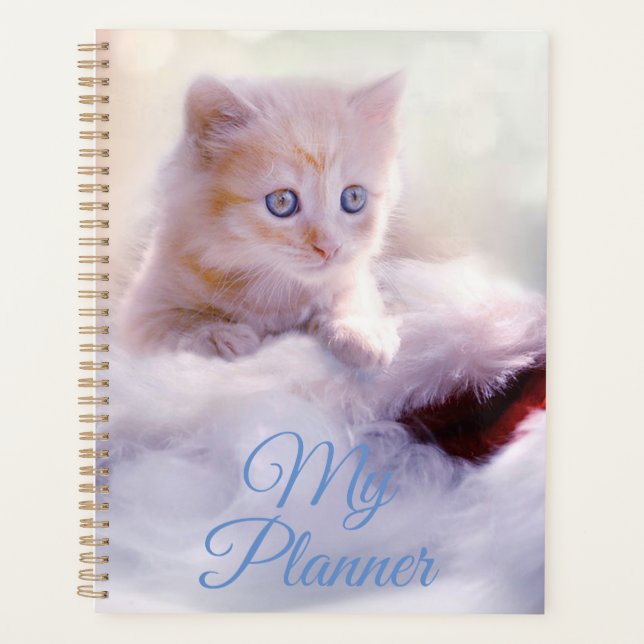 Kitten Planer (Vorderseite)