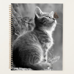 Kitten Planer
