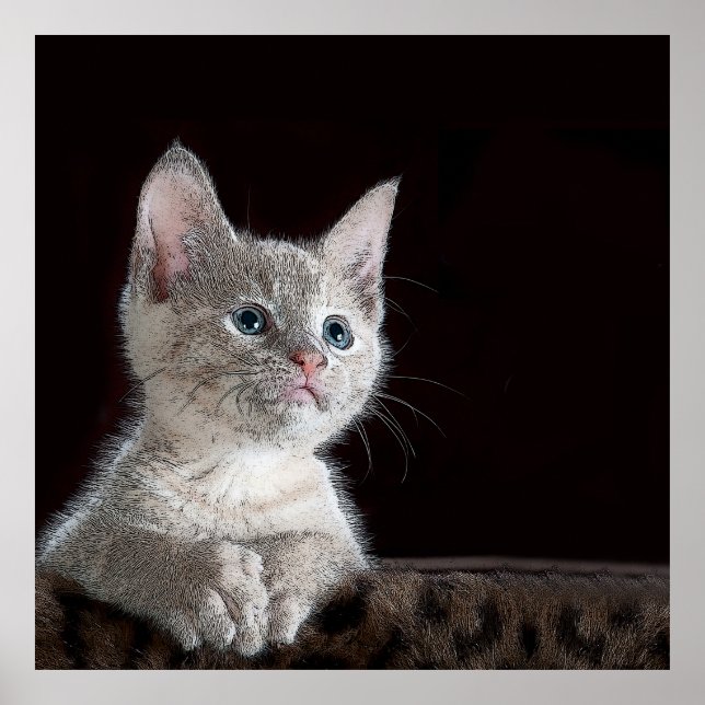 Kitten Poster (Vorne)
