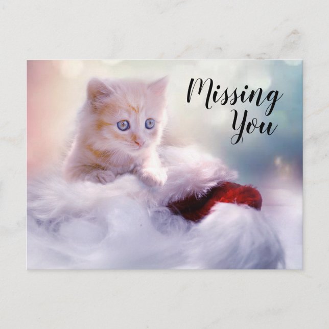 Kitten Postkarte (Vorderseite)
