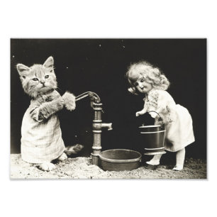 Kitten & Puppe im Wasser Fotodruck