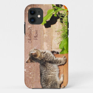 Kitten Reading Wall iPhone 5 Fall Case-Mate iPhone Hülle