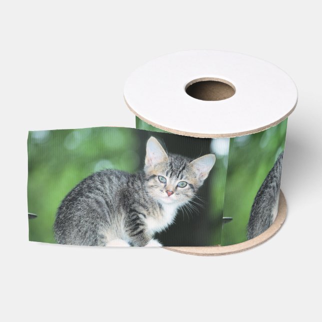 Kitten Ripsband (Spule)