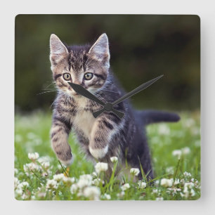 Kitten Running Through Clover Quadratische Wanduhr