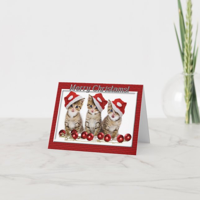 Kitten Santas Weihnachtskarte Feiertagskarte (Vorderseite)
