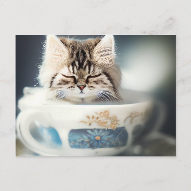 Kitten Schlafen im Teacup - Katze Postkarte (Vorderseite)