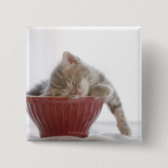 Kitten Schlafen in Bowl Button (Vorderseite)