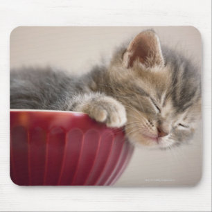 Kitten Schlafen in Bowl Mousepad