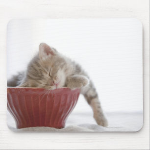 Kitten Schlafen in Bowl Mousepad