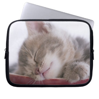 Kitten Schlafen in Schüssel 2 Laptopschutzhülle