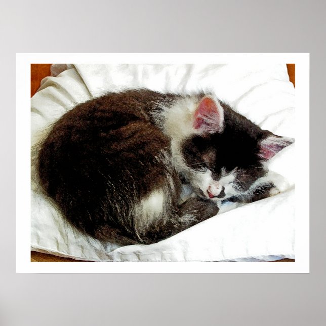 Kitten schläft auf weißem Komfort Poster (Vorne)
