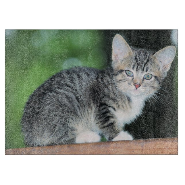 Kitten Schneidebrett (Vorderseite)
