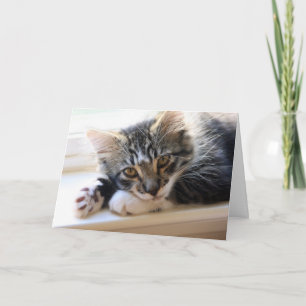 Kitten Sie alles über Ihre Muttertagskarte Karte
