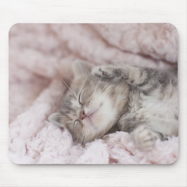 Kitten Sleeping on Towel Mousepad (Vorne)