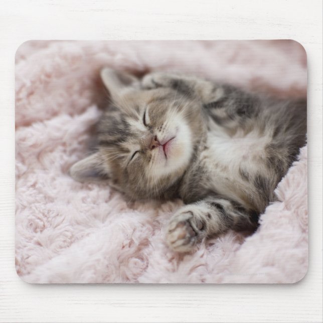 Kitten Sleeping on Towel Mousepad (Vorne)