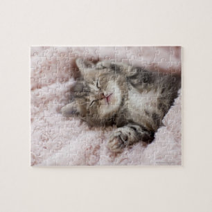 Kitten Sleeping on Towel Puzzle