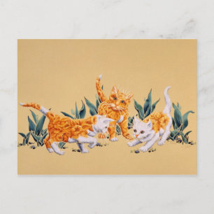 Kitten Spring Postkarte