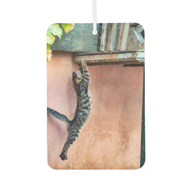 Kitten Springen Autolufterfrischer (Vorderseite)