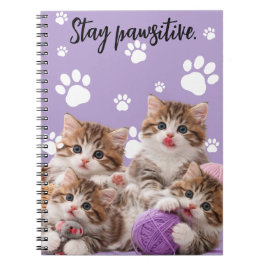 Kitten Stay Pawsitive Notebook Notizblock
