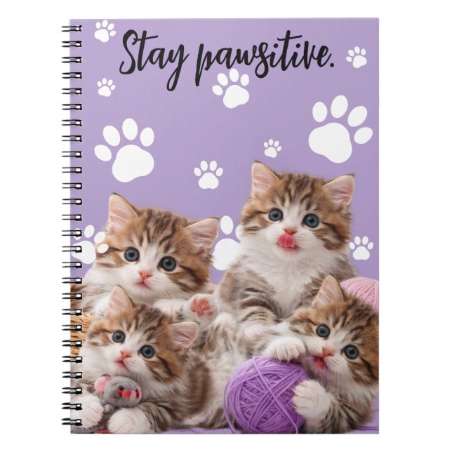 Kitten Stay Pawsitive Notizbuch Notizblock (Vorderseite)