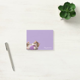 Kitten Stay Pawsitive Sticky Notes Post-it Klebezettel