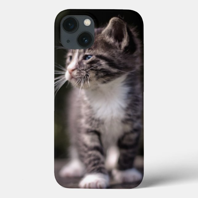 Kitten Stehend Tall Case-Mate iPhone Hülle (Rückseite)