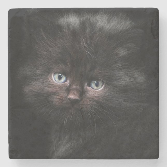 Kitten Steinuntersetzer (Vorderseite)