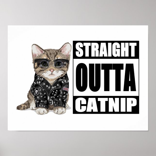 Kitten Straight Outta Catnip Poster (Vorne)