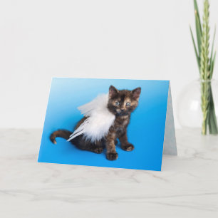 Kitten Sympathy Card Karte