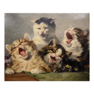 Kitten-Symphonie von Julius Adam II Poster