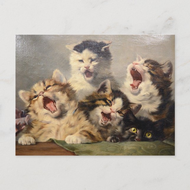 Kitten Symphony von Julius Adam II Postkarte (Vorderseite)