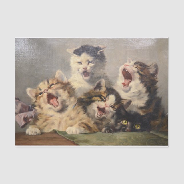 Kitten Symphony von Julius Adam II Seidenpapier (Vorderseite)