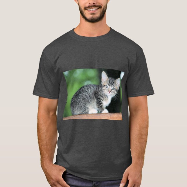 Kitten T-Shirt (Vorderseite)