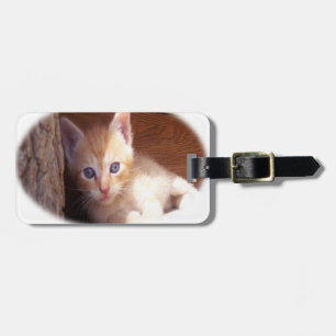 Kitten T - Shirt und super Mix Gepäckanhänger