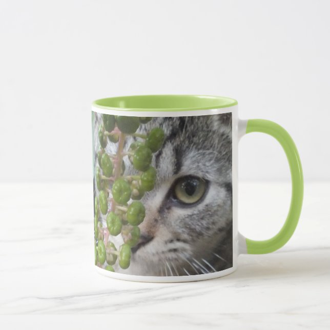 Kitten-Tasse verbergen Tasse (Rechts)