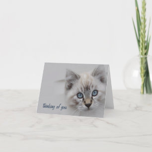 Kitten Thinking Your Card - Anpassbar Dankeskarte