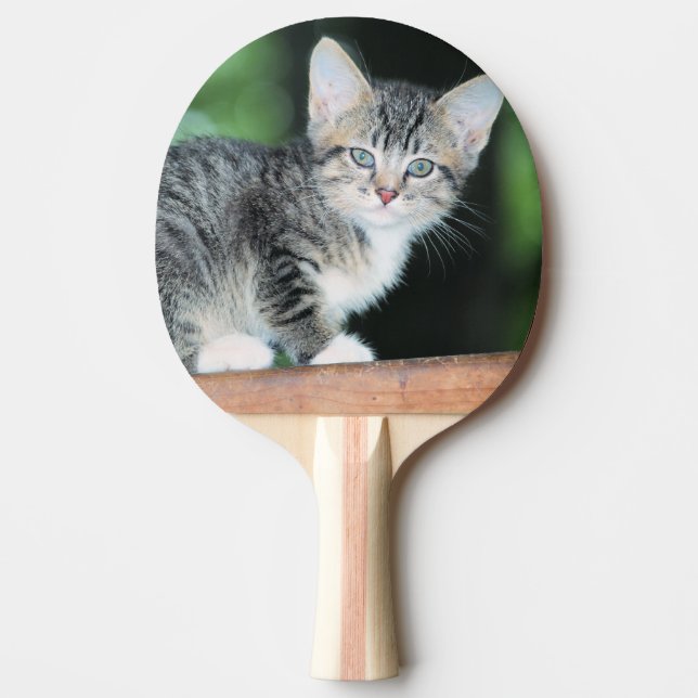Kitten Tischtennis Schläger (Vorderseite)
