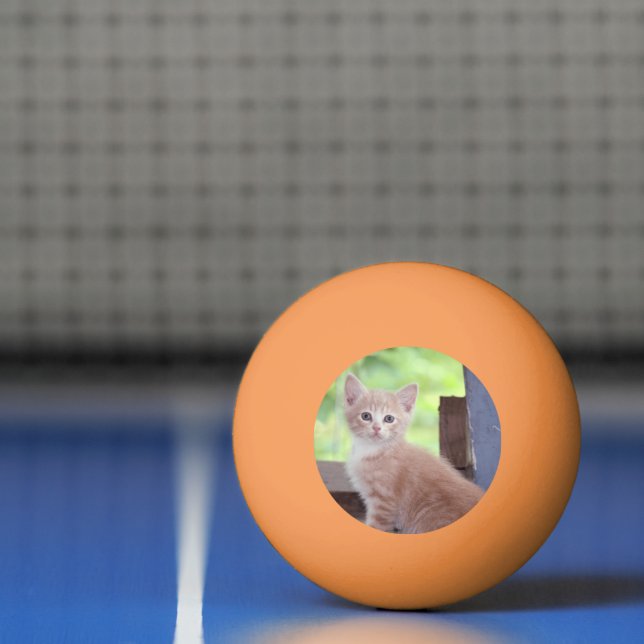 Kitten Tischtennisball (Netto)