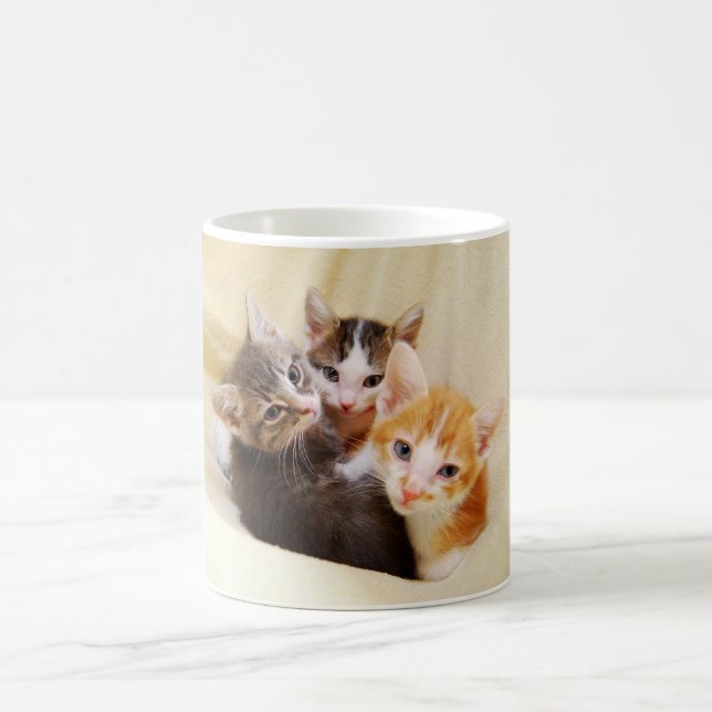 Kitten Trio Tasse (Mittel)