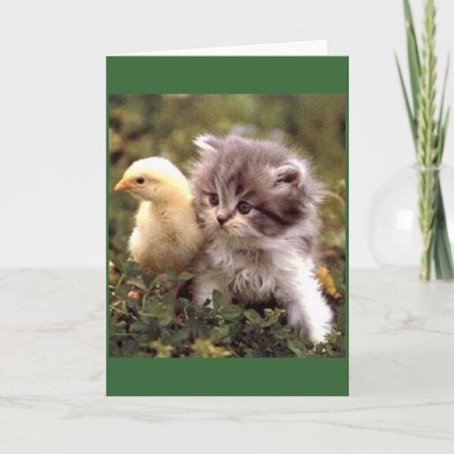 Kitten und Baby Chick Karte (Vorderseite)